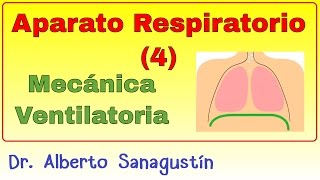 Aparato Respiratorio 4 Mecánica Ventilatoria [upl. by Akeihsat]