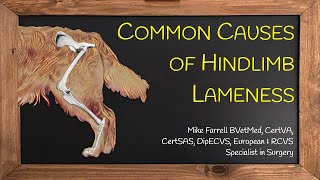 Hindlimb lameness [upl. by Abroms]