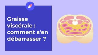 Graisse viscérale  comment sen débarrasser   Coaching Nutrition [upl. by Nemra343]