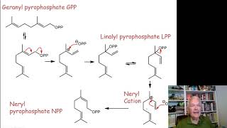 Terpene Biosynthesis [upl. by Hares]