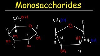 Monosaccharides  Glucose Fructose Galactose amp Ribose  Carbohydrates [upl. by Saretta478]