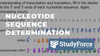 Nucleotide Sequence Determination from Transcription to Translation [upl. by Giordano]