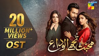 Mohabbat Tujhe Alvida  Full OST  HUM TV  Drama [upl. by Peta]