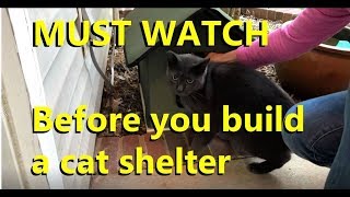 Building a feral cat shelter Watch this first [upl. by Onitsuaf]