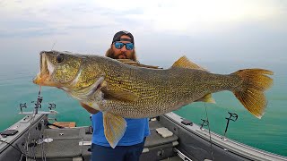 Walleye Fishing Lake Erie CATCH amp COOK  Field Trips with Robert Field [upl. by Annoval771]