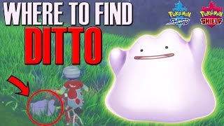 Where to find Ditto in Pokemon Sword amp Shield  Ditto Location [upl. by Acnairb597]