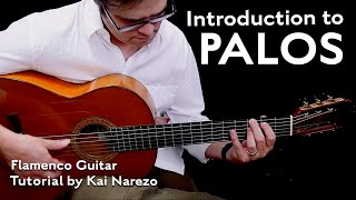 Introduction to Palos  Flamenco Guitar Tutorial by Kai Narezo [upl. by Lebasy]