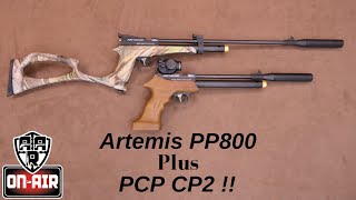 PP800 and a PCP CP2 [upl. by Bega193]