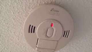 Smoke Detector Test [upl. by Jinny613]