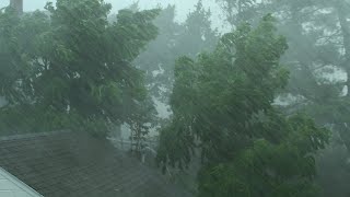 Heavy Rain and Wind Sounds For Sleeping  Relaxation  10 Hours [upl. by Diva]