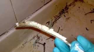 How To Remove Caulk in SECONDS [upl. by Tlok941]