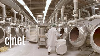 Jelly Beans How Its Made Entire Jelly Belly Factory Insider Tour 🍬 [upl. by Norrv]