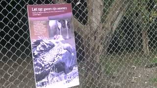 vogelpark avifauna vlog 4 [upl. by Annnora]