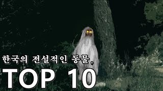 한국 신화속 전설적인 동물 TOP10 [upl. by Appledorf]