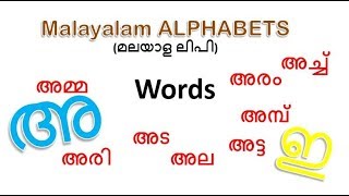 Malayalam Aksharamala  First Words Malayalam alphabet pronunciation and language [upl. by Erapsag]