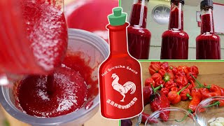 Sriracha Sauce Recipe  ChilliChump Style [upl. by Sherye]