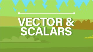 What are Vector and Scalar Quantities [upl. by Nasya]