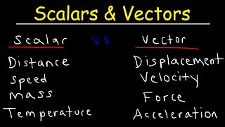 Scalars and Vectors [upl. by Lebasy97]