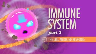 Immune System Part 3 Crash Course Anatomy amp Physiology 47 [upl. by Ajiram]