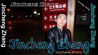 Jincheng Zhang  Practice Instrumental Version Background Music Official Audio [upl. by Bunns]