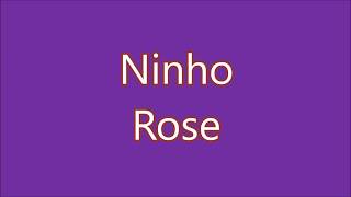 Ninho  Rose Lyrics Paroles [upl. by Alikee493]