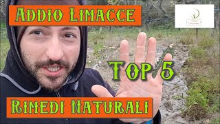 Top 5 Rimedi Naturali contro le Lumache [upl. by Beret507]