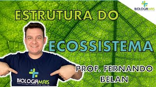 Biologia Mais  Estrutura do Ecossistema [upl. by Annoel]