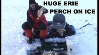 ICE FISHING JUMBO ERIE PERCH [upl. by Shih]