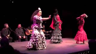 Flamenco Abierto Alegrias [upl. by Louanne]