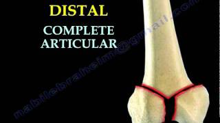 Patellar Fractures  Everything You Need To Know  Dr Nabil Ebraheim [upl. by Asset]