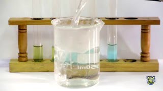 Food Tests  Iodine Biuret Benedicts Ethanol DCPIP [upl. by Weisman354]