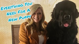 Complete Guide To Everything You Need For Bringing Home A Newfoundland Puppy  Newf Puppy Explained [upl. by Hareenum]