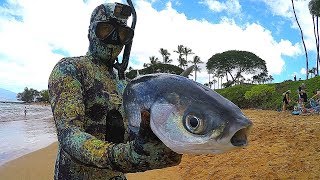 Spearfishing Hawaiian Style  Big Catch [upl. by Jann]