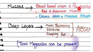 Ulcerative Colitis  Pathology [upl. by Preiser]