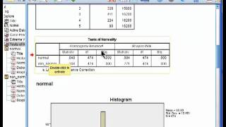 Testing Distributions for Normality  SPSS part 1 [upl. by Diver]