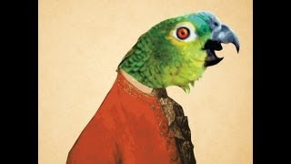 Parrot singing opera original video [upl. by Bernhard828]