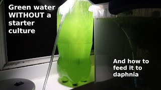 Green Water WITHOUT a Starter Culture  From Scratch  How To [upl. by Os]