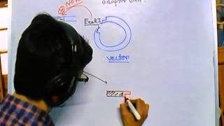 Difference between linker and adaptor DNA [upl. by Enilreug]