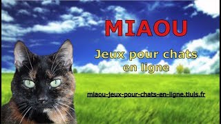 Vidéo longue durée 1h15     Miaou jeux pour chat en ligne [upl. by Yreneh]