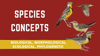 SPECIES CONCEPTS BIOLOGICAL MORPHOLOGICAL ECOLOGICAL PHYLOGENETIC [upl. by Charry]