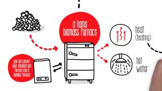 How does biomass work  Sustainability [upl. by Galina302]