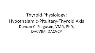 Thyroid Physiology Hypothalamic Pituitary Thyroid Axis [upl. by Rurik]