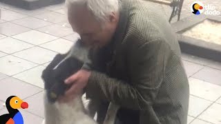 Man Films Himself Reuniting With Dog After 3 Years Apart  The Dodo [upl. by Norling298]