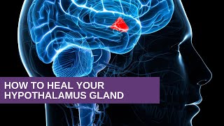 How to Heal Your Hypothalamus Gland [upl. by Anha]