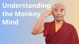 Understanding the Monkey Mind with Yongey Mingyur Rinpoche [upl. by Isyad]