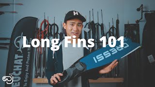 Spearfishing and Freediving Fins 101 [upl. by Odie]