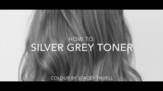 How to get a Perfect Silver Grey Toner using Fanola [upl. by Pritchard]