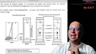 Présentation du sujet de SVT pour le DNB brevet 2021 [upl. by Chladek309]