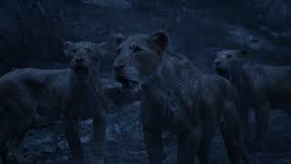 The Lion King 2019  Circle of life Reprise Swedish Subs amp Trans [upl. by Ceil]