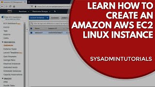 Mastering AWS How To Create A Linux EC2 Instance  For The Beginner [upl. by Dorise]